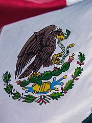 Mexican flag stock photo